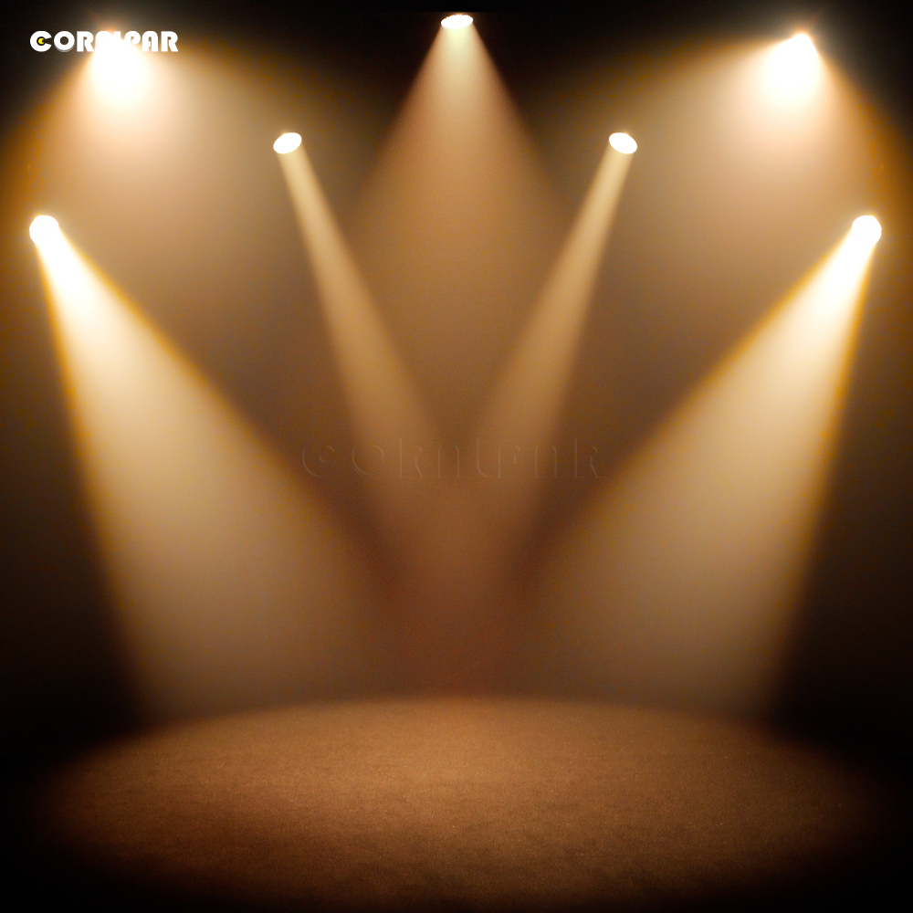 CORALPAR Waterproof LED Zoom&Wash COB Par 300W Warm White Light（IP65） High Brightness for Church Theater Wedding Outdoor