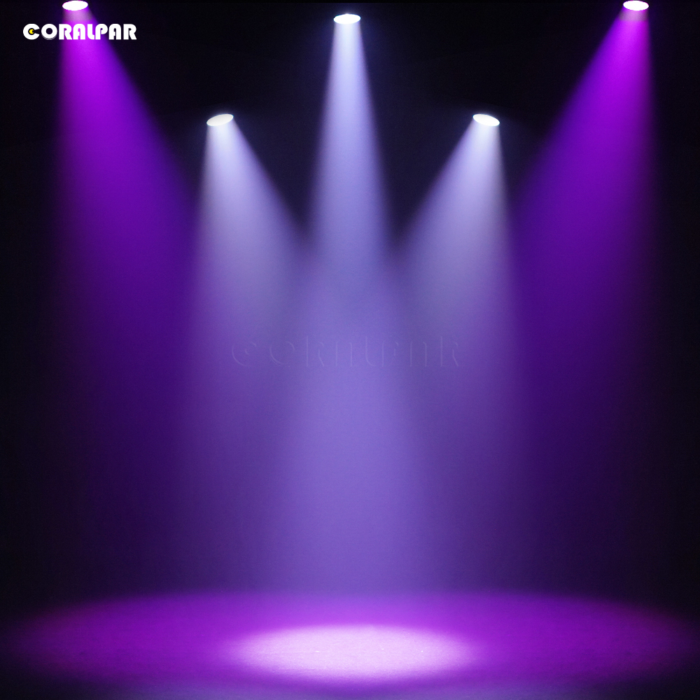 CORALPAR Waterproof LED Zoom&Wash COB Par 300W Light （IP65） High Brightness for Church Theater Wedding Outdoor