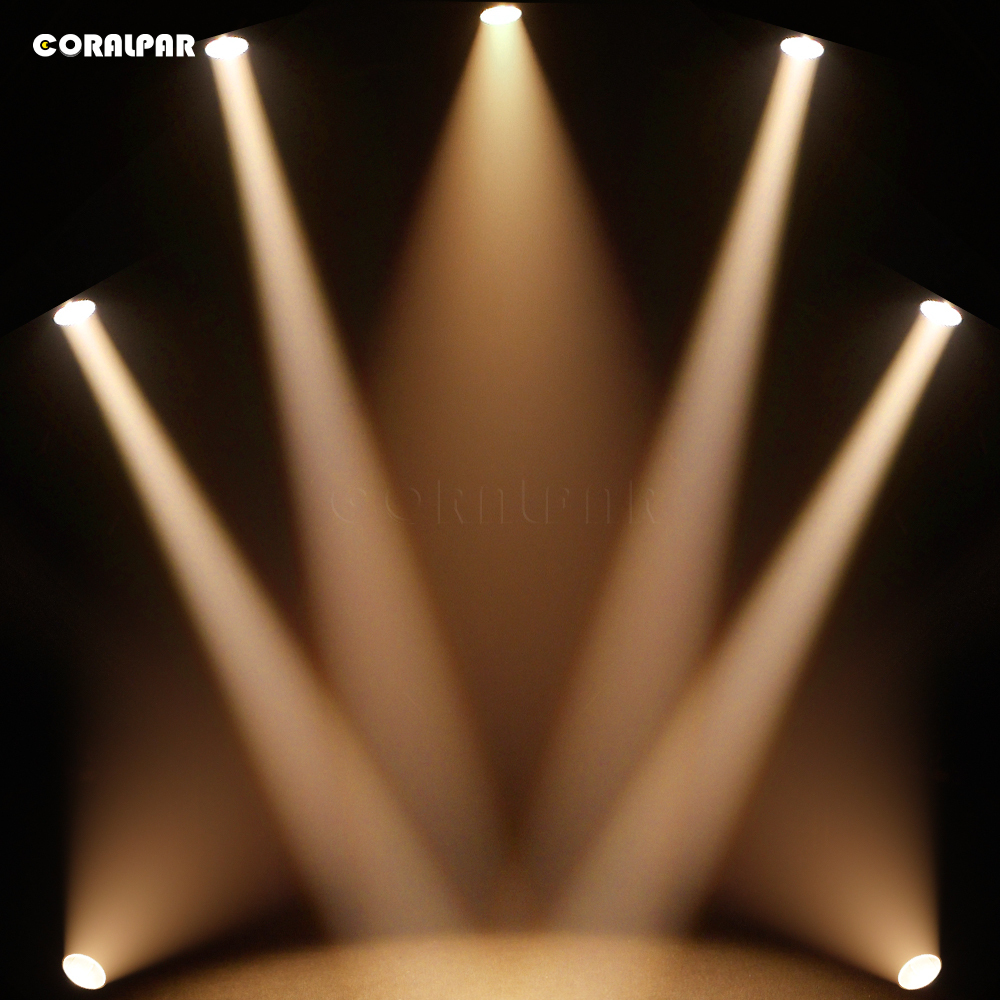 CORALPAR Waterproof LED Zoom&Wash COB Par 300W Warm White Light（IP65） High Brightness for Church Theater Wedding Outdoor