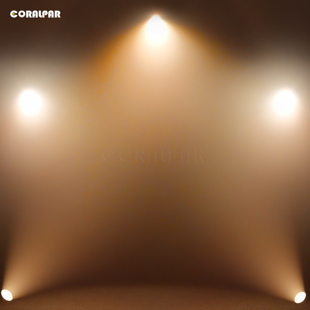 CORALPAR Waterproof LED Zoom&Wash COB Par 300W Warm White Light（IP65） High Brightness for Church Theater Wedding Outdoor