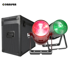 Flight Case With 2pcs 300W RGBW 4in1