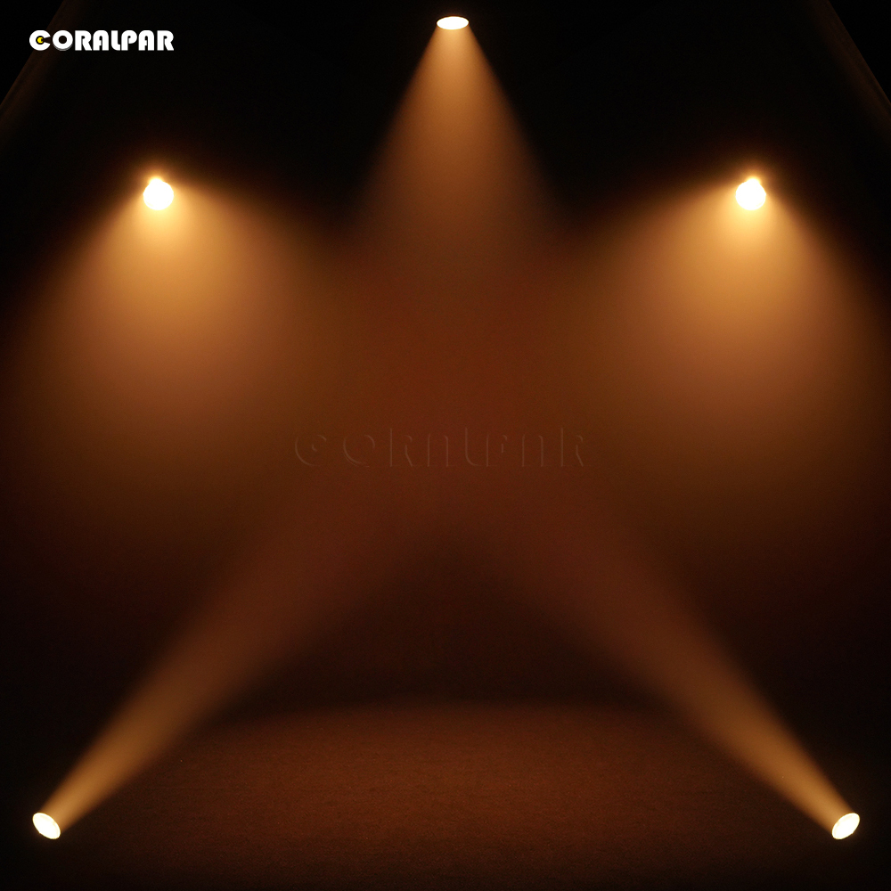 CORALPAR Waterproof LED Zoom&Wash Par 300W Cool&Warm White 2in1 Light（IP65) High Brightness for Church Theater Wedding Outdoor