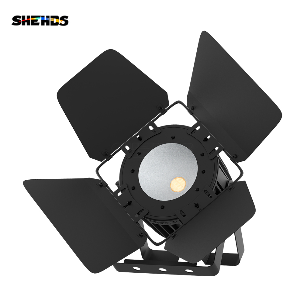 LED 200W Cool&Warm White 2in1 COB Light