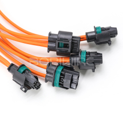 High Current Automotive Wiring Harness with 1544317-1 Waterproof 2P Connector DJ7021Y-8-21
