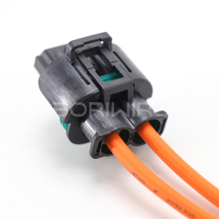 High Current Automotive Wiring Harness with 1544317-1 Waterproof 2P Connector DJ7021Y-8-21