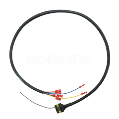 OEM 6P 母连接器汽车配线电缆带收缩管