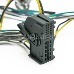 汽车线束工厂定制 31 针连接器线束电缆，带保险丝盒和直流连接器