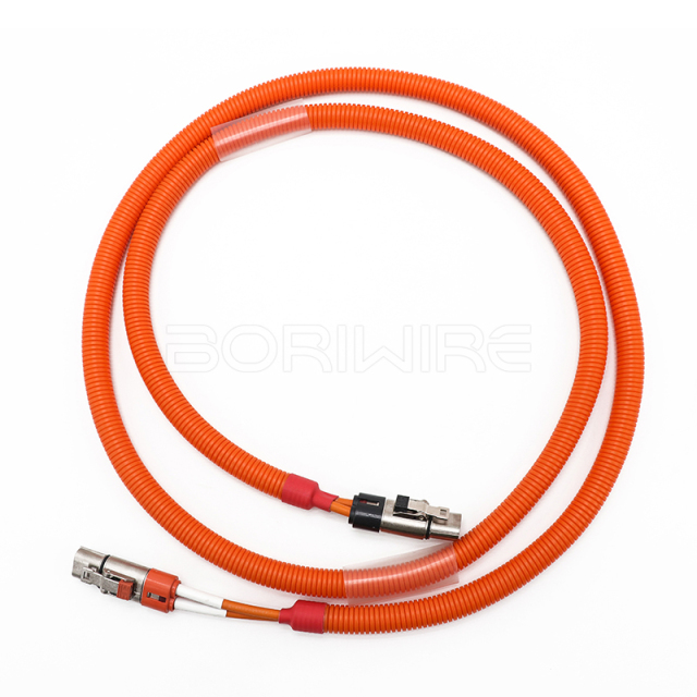 2Pin EV Wire Harness Storage Power Cable Application Automotive High Voltage Wiring Harness Customization