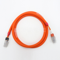 2Pin EV Wire Harness Storage Power Cable Application Automotive High Voltage Wiring Harness Customization