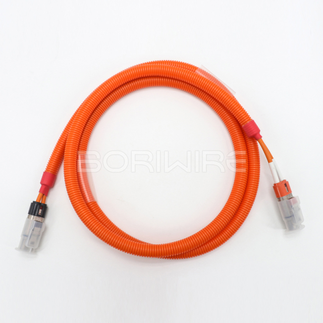 2Pin EV Wire Harness Storage Power Cable Application Automotive High Voltage Wiring Harness Customization