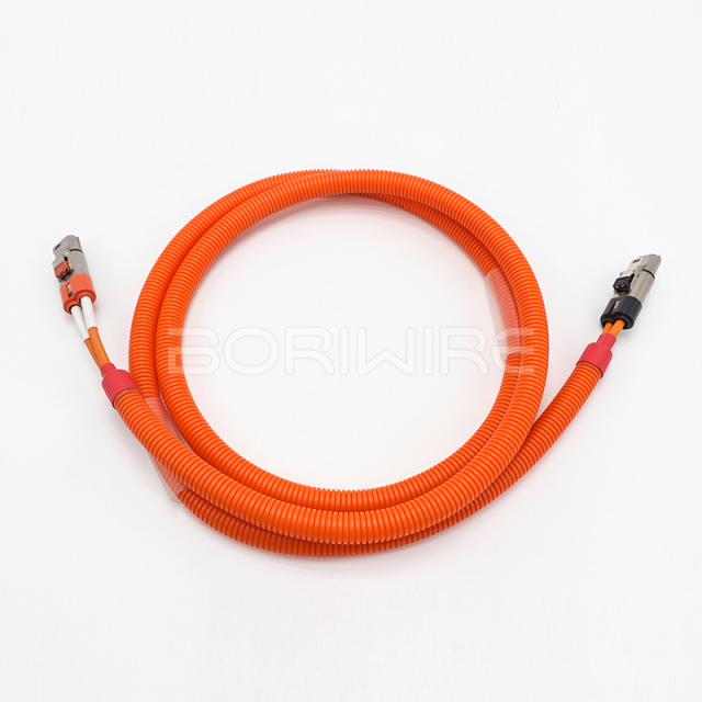 2Pin EV Wire Harness Storage Power Cable Application Automotive High Voltage Wiring Harness Customization