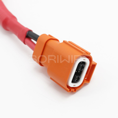 New arrival high performance new energy vehicle wiring harness for ev car accessories with flexible price just inquiry