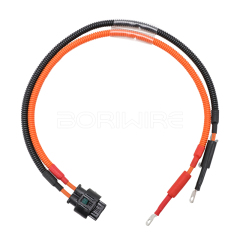 Customized High-voltage Electric Vehicle Charging Port Wiring Harness EV Cable OEM ODM New Energy Vehicle Cable Assembly