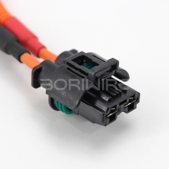 Customized High-voltage Electric Vehicle Charging Port Wiring Harness EV Cable OEM ODM New Energy Vehicle Cable Assembly