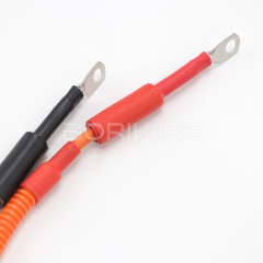 Customized High-voltage Electric Vehicle Charging Port Wiring Harness EV Cable OEM ODM New Energy Vehicle Cable Assembly