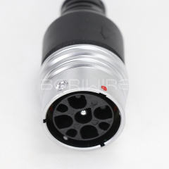 Factory-customized Power Cable Connection for New Energy Electric Vehicles: 9-core European Standard Female Plug Wiring Harness