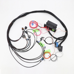 2.2L Ecotec L61 Stand Alone Wiring Harness with Waterproof Relay and Fuse Box for P11 Computer Manual Transmission