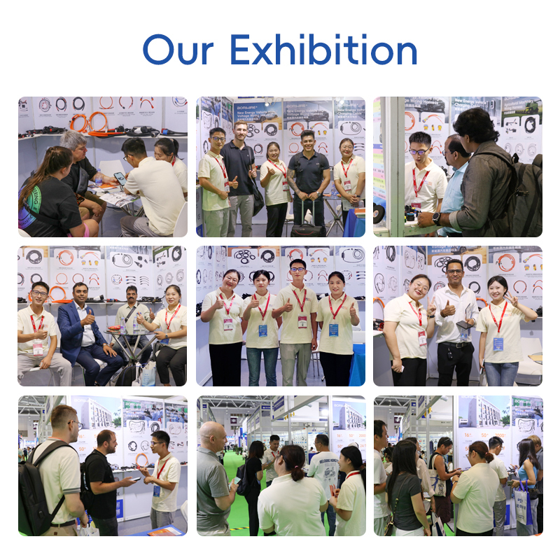 Generator wiring harness