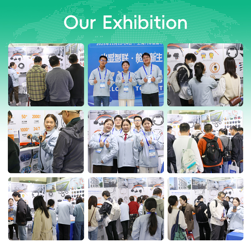 Generator wiring harness