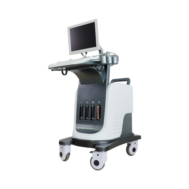 FTL-UTS2600 High-end Medical Cardiovascular Ultrasound 4D Trolley Color Doppler Ultrasound System,Fatali Medical equipment