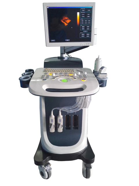 FTL-UTS2600 High-end Medical Cardiovascular Ultrasound 4D Trolley Color Doppler Ultrasound System,Fatali Medical equipment