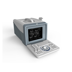 FTL-UTS70 Portable B/W Ultrasound Cheap LED Portable 2D Ultrasound Scanner price,Fatali Medical equipment