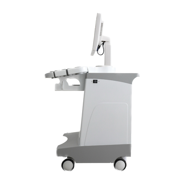 FTL-UTS80 Trolley B/W Ultrasound Cheap Full Digital Diagnostic price 15" HD display,Fatali Medical equipment