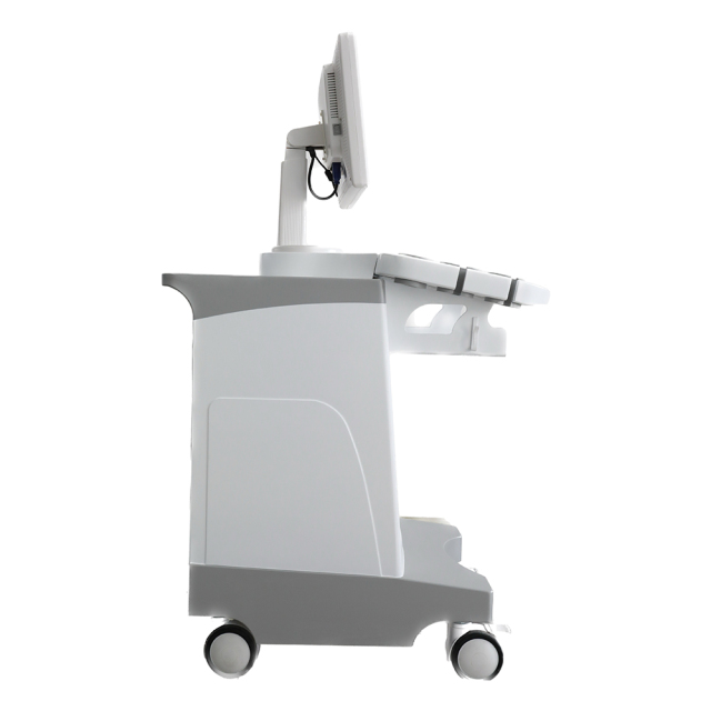FTL-UTS80 Trolley B/W Ultrasound Cheap Full Digital Diagnostic price 15" HD display,Fatali Medical equipment