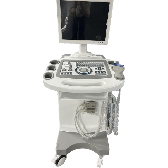 FTL-UTS80 Trolley B/W Ultrasound Cheap Full Digital Diagnostic price 15" HD display,Fatali Medical equipment