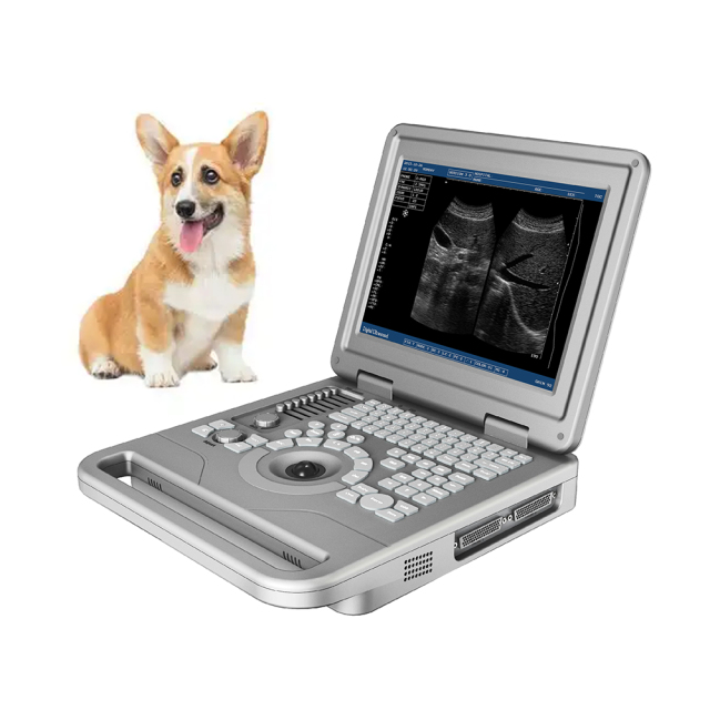 Portable Full Digital Diagnostic System B/W Veterinary Ultrasound Machine,Fatali Medical equipment
