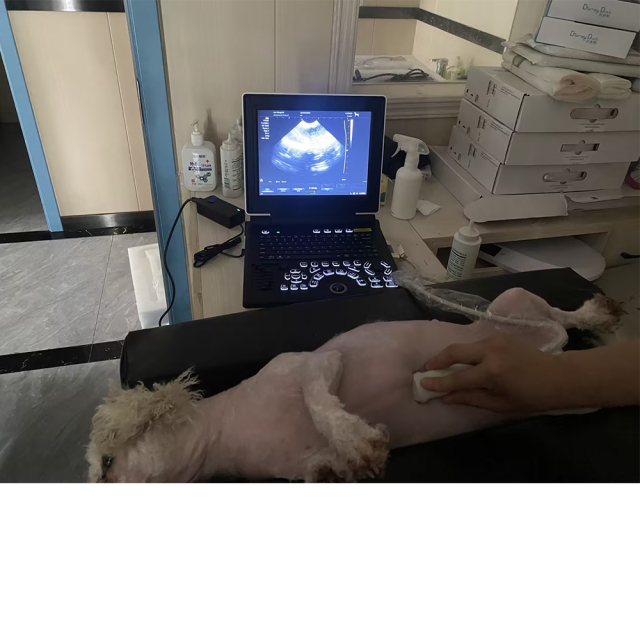 FTL-UTS90 Portable Color Doppler Ultrasound Machine for Animal Diagnosis,Fatali Medical equipment