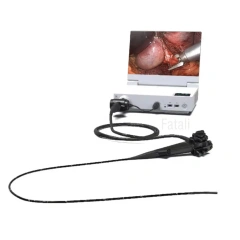 Wholesale Price Portable HD Endoscopy System ENT Endoscope,Fatali Medical equipment