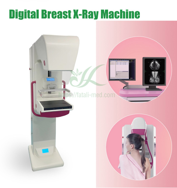 Digital Mammography X-ray System Breast Xray Machine for Hospital,Fatali Medical equipment