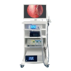 Portable Reusable HD Endoscope for Human Use for ENT Joints Inspection of Abdomen and Thoracic Cavity Cystoscope,Fatali Medical equipment
