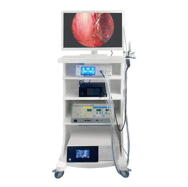Portable Reusable HD Endoscope for Human Use for ENT Joints Inspection of Abdomen and Thoracic Cavity Cystoscope,Fatali Medical equipment