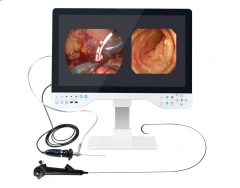 Gastroscopy Reusable Colonoscopy Portable Veterinary Endoscope,Fatali Medical equipment