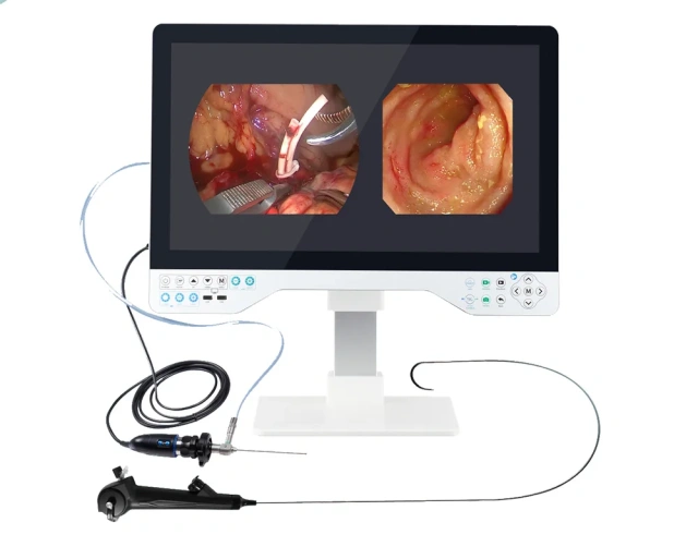 Gastroscopy Reusable Colonoscopy Portable Veterinary Endoscope,Fatali Medical equipment