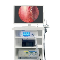 Portable Reusable HD Endoscope for Human Use for ENT Joints Inspection of Abdomen and Thoracic Cavity Cystoscope,Fatali Medical equipment