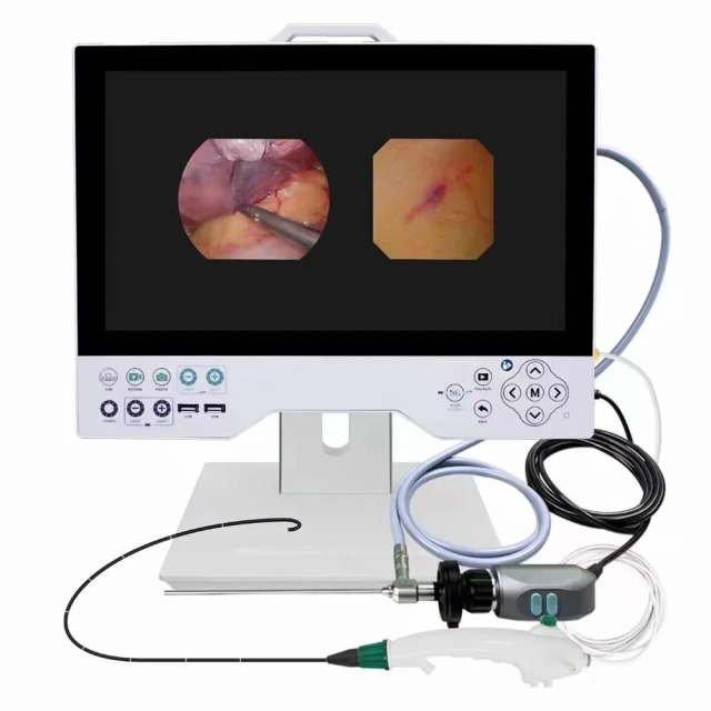 Gastroscopy Reusable Colonoscopy Portable Veterinary Endoscope,Fatali Medical equipment