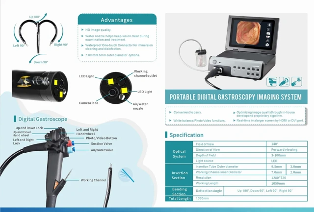Gastroscopy Reusable Colonoscopy Portable Veterinary Endoscope,Fatali Medical equipment
