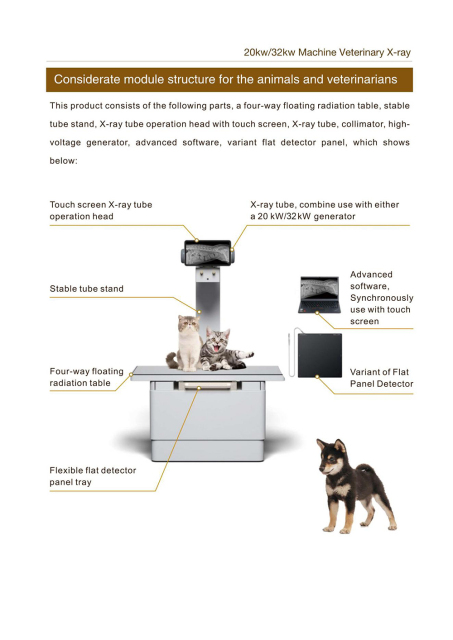FTLF32V-B digital X-Ray Machine for Veterinary Use 32KW vet hospital xray equipment,Fatali Medical equipment