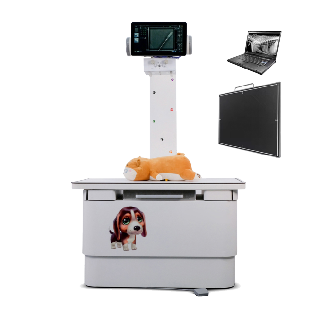 FTLF20VDR-B dr Automatic  Veterinary X-ray Machine  20KW DR xray for Animals Hospital Imaging Scaner,Fatali Medical equipment