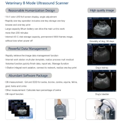 5D Ultrasonido 3d/4d Ultrasonic Price Ultrasound Scan Color Doppler Ultrasound Machine,Fatali Medical equipment