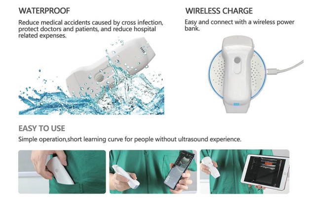 Wireless Wifi Handheld Veterinary Ultrasound Probe,Fatali Medical equipment