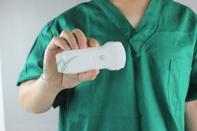 Veterinary Ultrasound 2 Probes Portable Ultrasound Machine Pocket Diagnostic Scan,Fatali Medical equipment