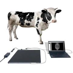 Hospital Equipment 17*17 Wireless Digital Flat Panel Detector Hospital Clinics X-Ray Machines Price Diagnostic Properties,Fatali Medical equipment
