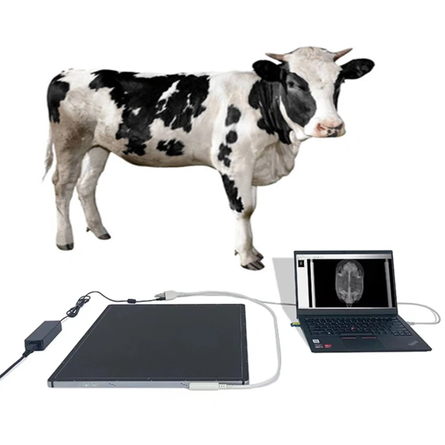 Hospital Equipment 17*17 Wireless Digital Flat Panel Detector Hospital Clinics X-Ray Machines Price Diagnostic Properties,Fatali Medical equipment