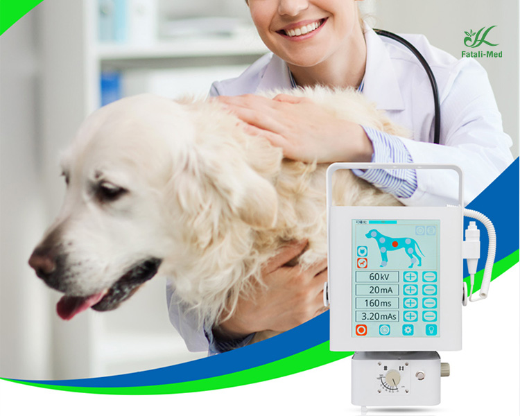 Veterinary Clinics