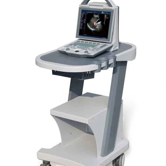 Durable Fast Diagnostic ICU Ultrasonido Doppler Color With 4d Probe for Human or Veterinary,Fatali Medical equipment