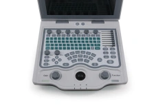 Durable Fast Diagnostic ICU Ultrasonido Doppler Color With 4d Probe for Human or Veterinary,Fatali Medical equipment